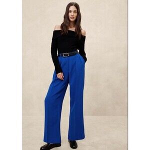 Banana Republic Pants Women 14P Blue Pleated Wide Leg High Waist Trousers NWT